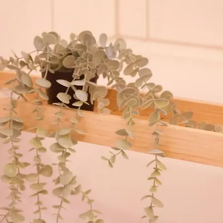 Appartement Gemuetliche In *